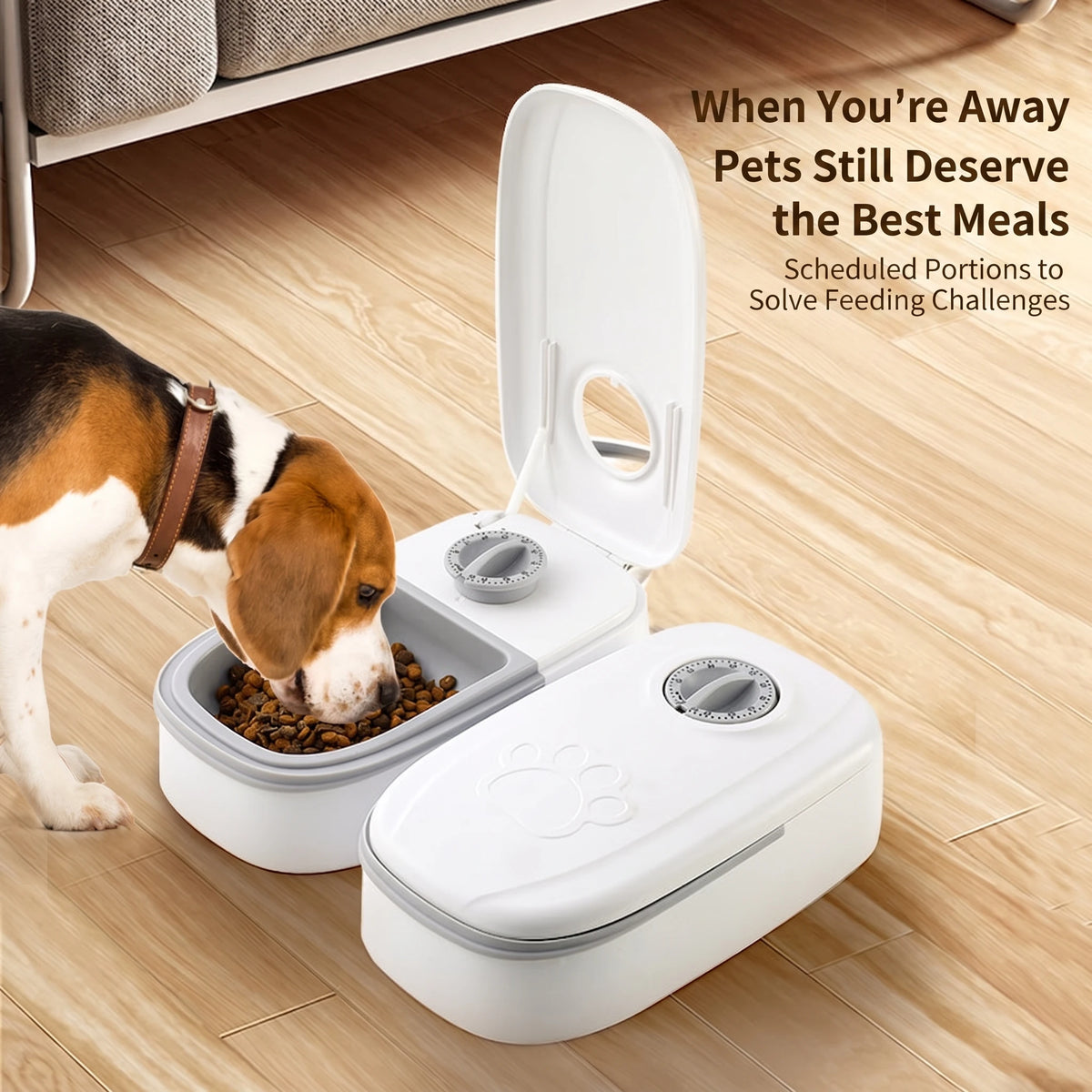 Single-Meal Automatic Pet Feeder with Timer & Cooling Pack