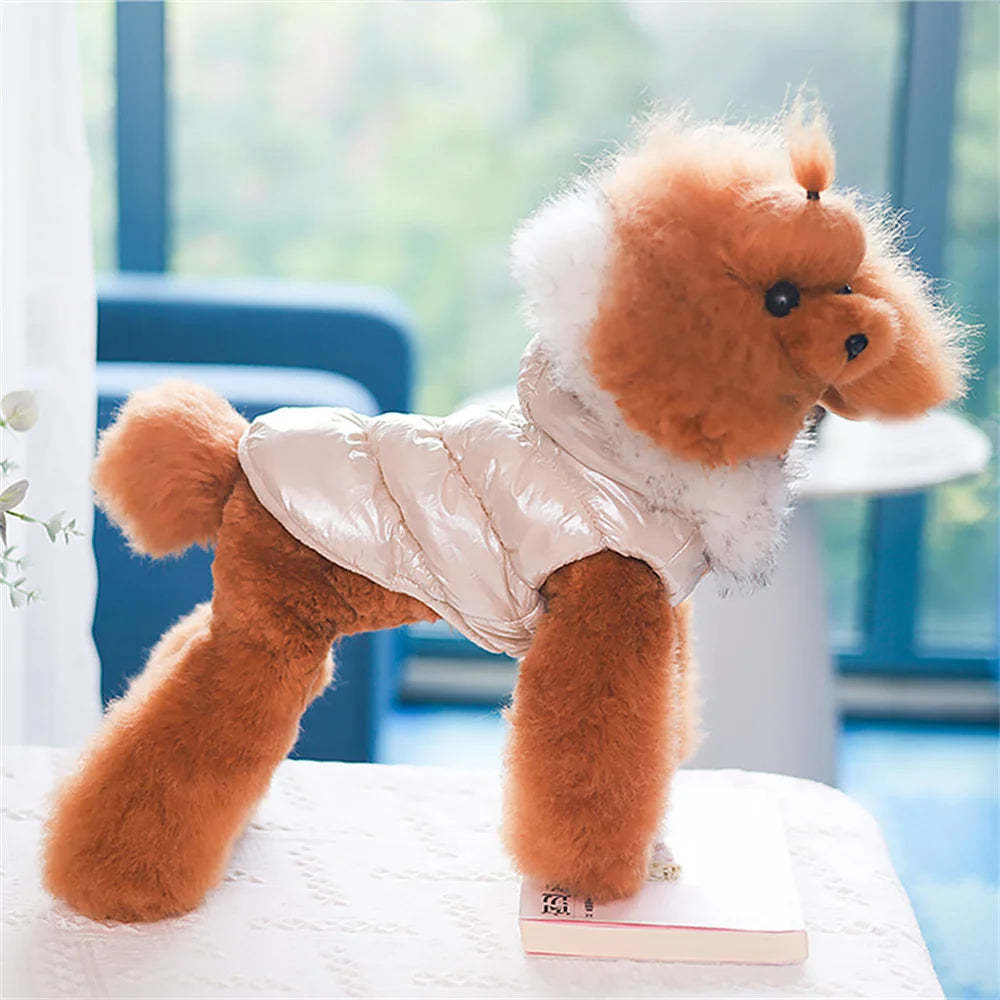 Winter Down & Fleece Dog Coat with Fur Collar for Small Dogs