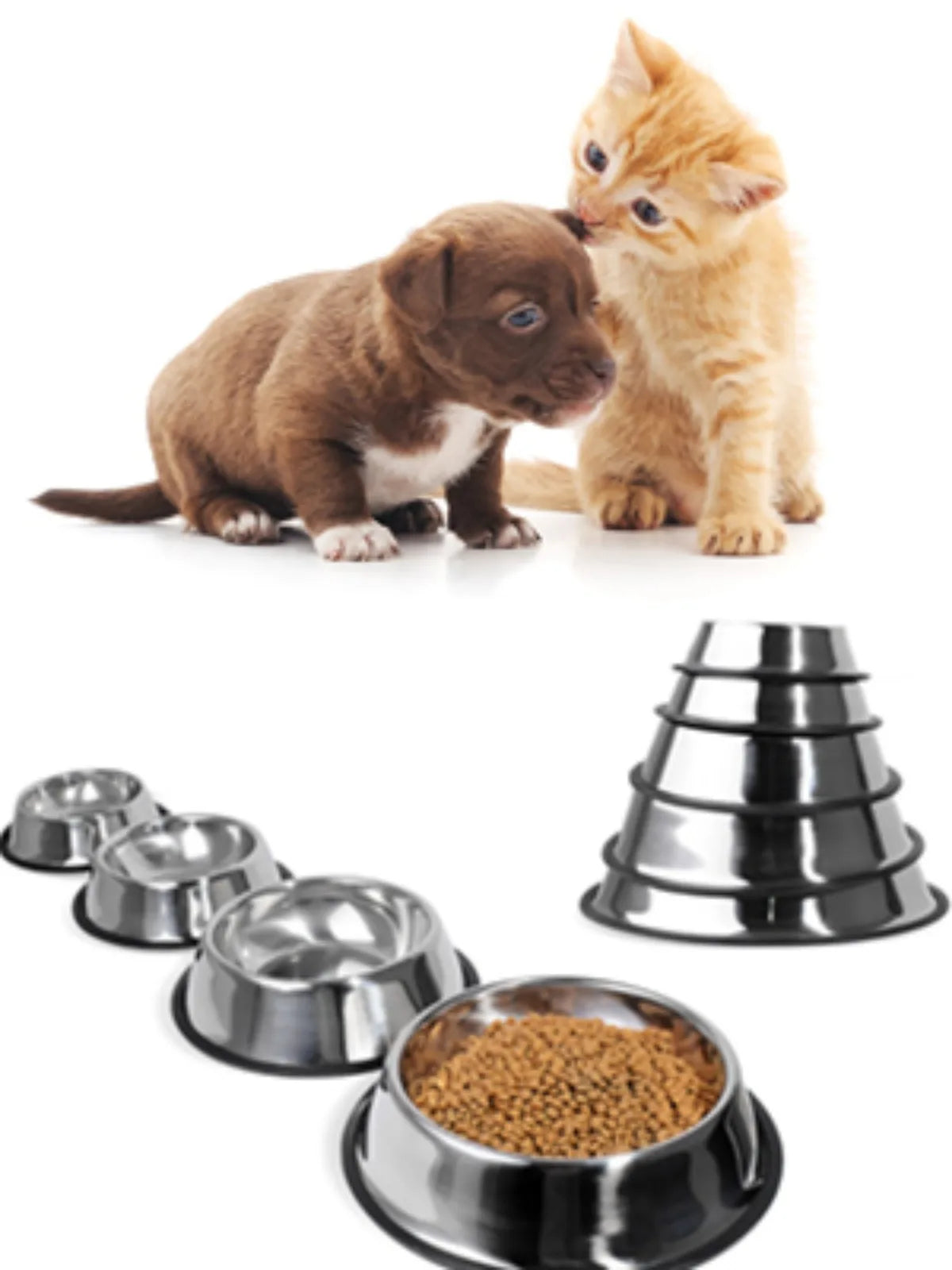 Stainless Steel Pet Bowl with Non-Slip Rubber Base for Dogs & Cats