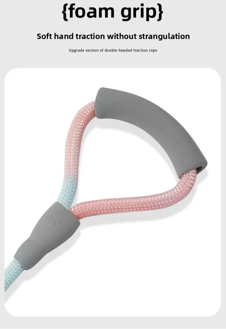 Ensemble complet de collier, harnais et laisse pour chien de qualité supérieure