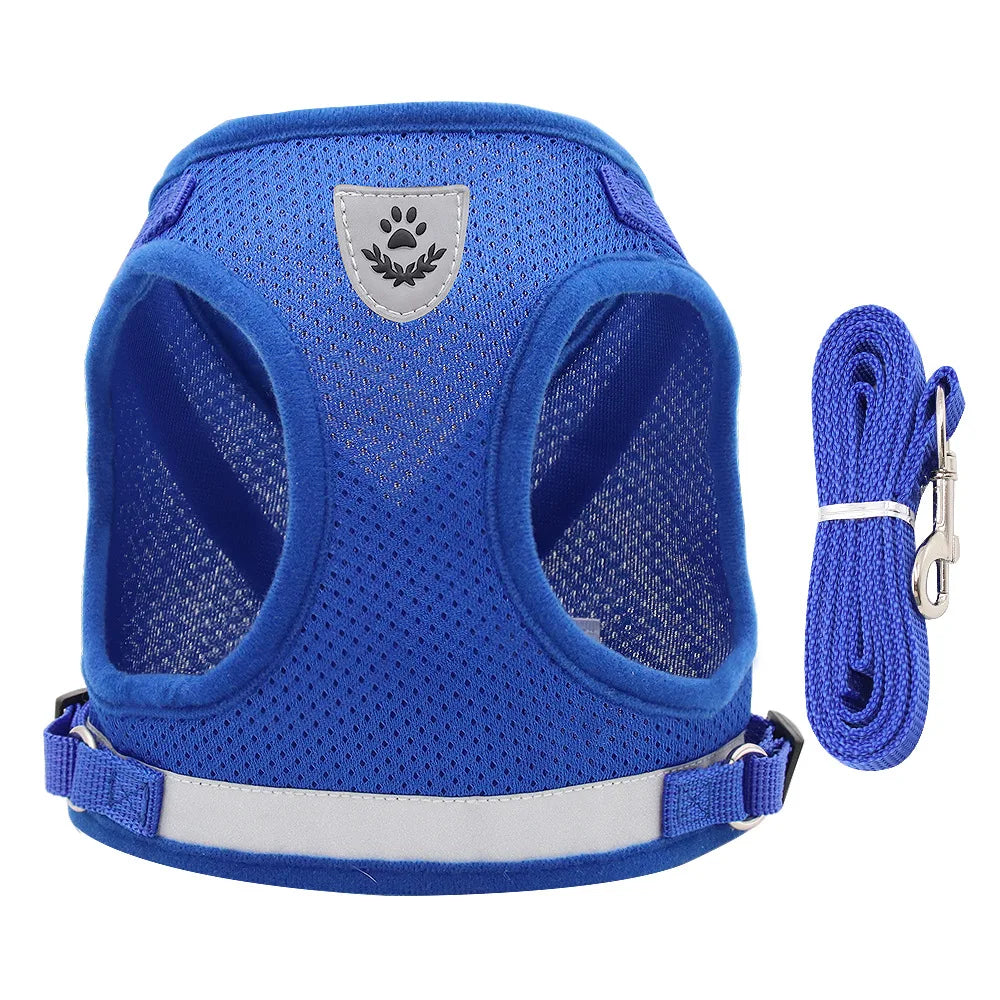 Ensemble harnais et laisse anti-évasion pour animaux de compagnie – Gilet en maille réfléchissante pour chats et petits chiens