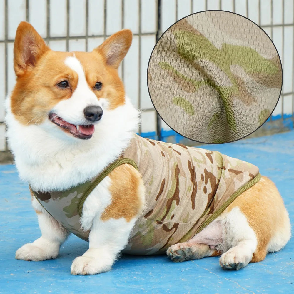 Mesh Cooling Vest & Sun Hat Set for Dogs