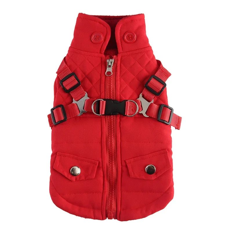 2-in-1 Dog Jacket & Harness with Pocket