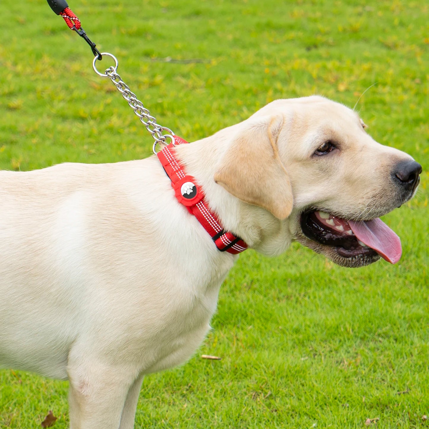 Collier réfléchissant pour chien avec support AirTag et boucle à dégagement rapide