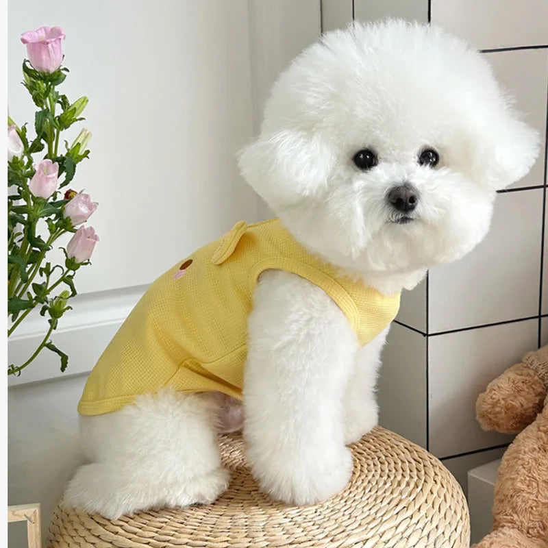 Breathable Summer Vest for Small Dogs & Cats