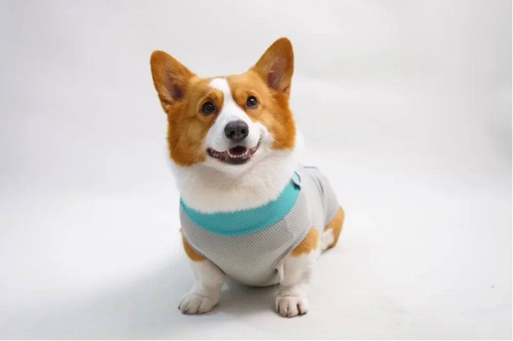 Ice Pack Cooling Vest for Small & Medium Dogs