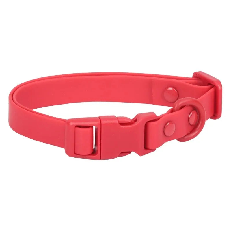 Collier et Harnais en Silicone pour Chat - Accessoires Souples pour Chaton et Petits Animaux
