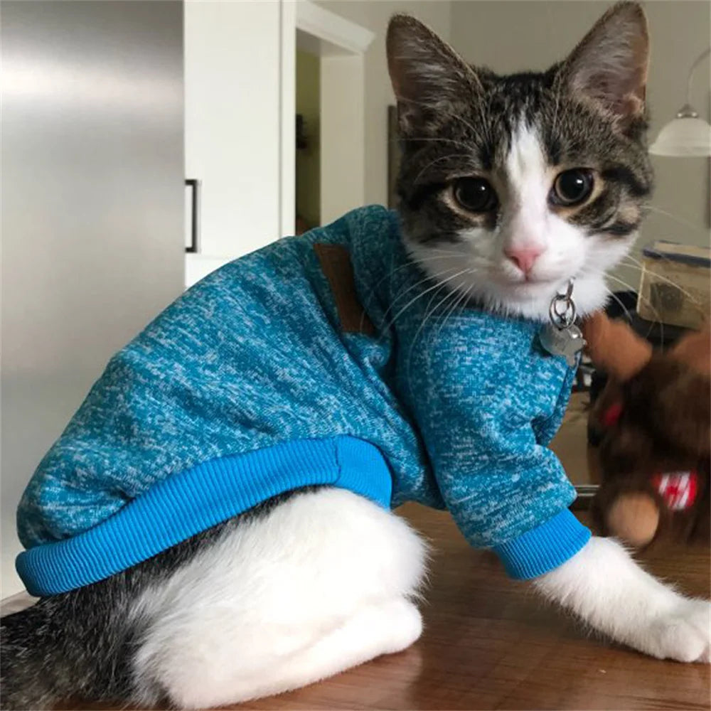 Non-Hair-Sticking Pet Hoodie for Cats & Small Dogs
