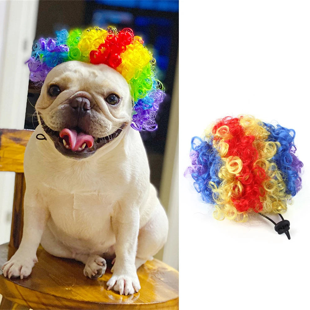 Novelty Faux Fur Wig Hat for Dogs & Cats