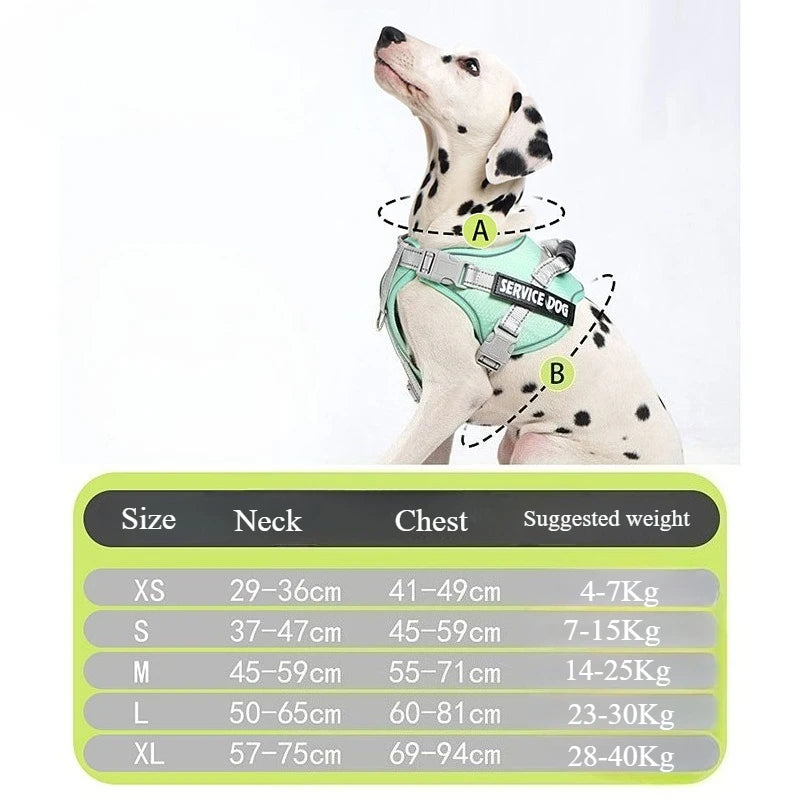 No Pull Dog Harness with Front Clip and Handle