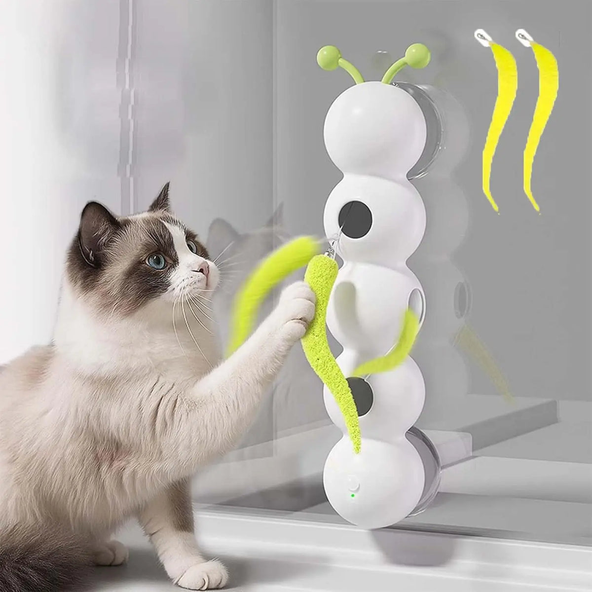 Rechargeable Cat Teaser Toy – Automatic Worm & Tail Game