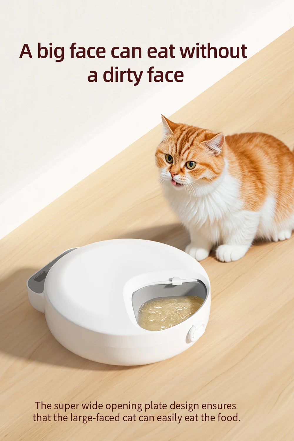Automatic Four-Meal Pet Feeder for Wet & Dry Food