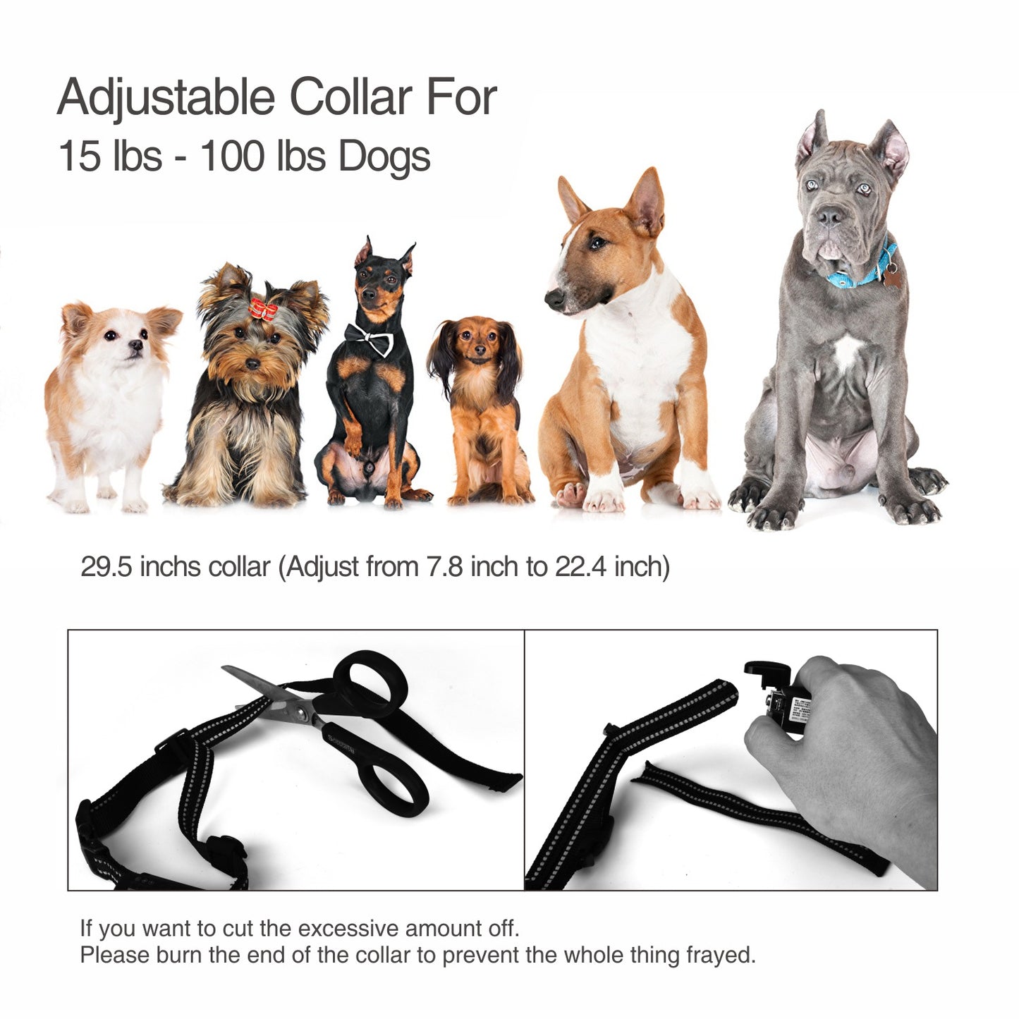 Rechargeable Dog Training Collar - IPX7 Waterproof with Remote for All Dog Sizes