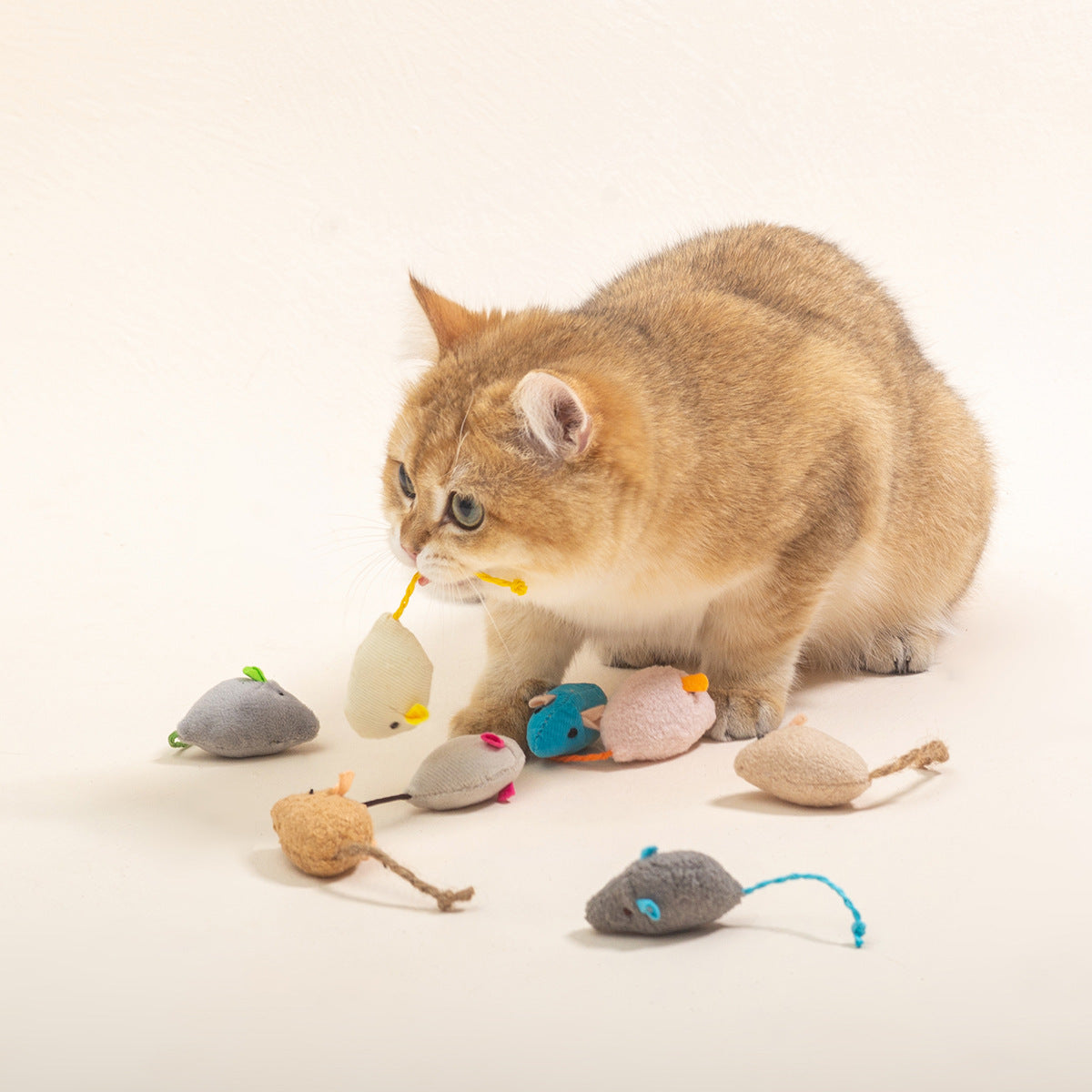 Plush Mouse Toy Set for Cats - Interactive Feather Toys