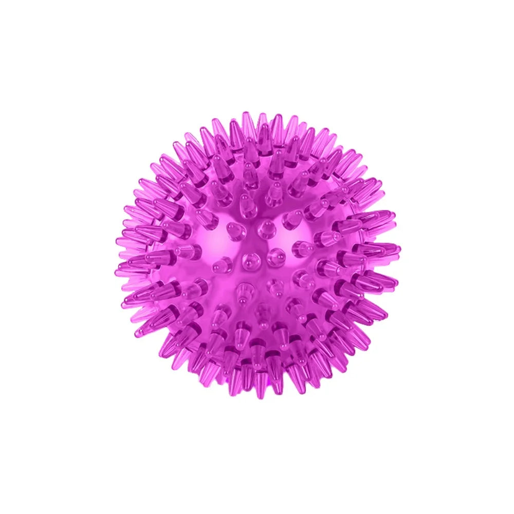 Squeaky Rubber Play Ball for Dogs