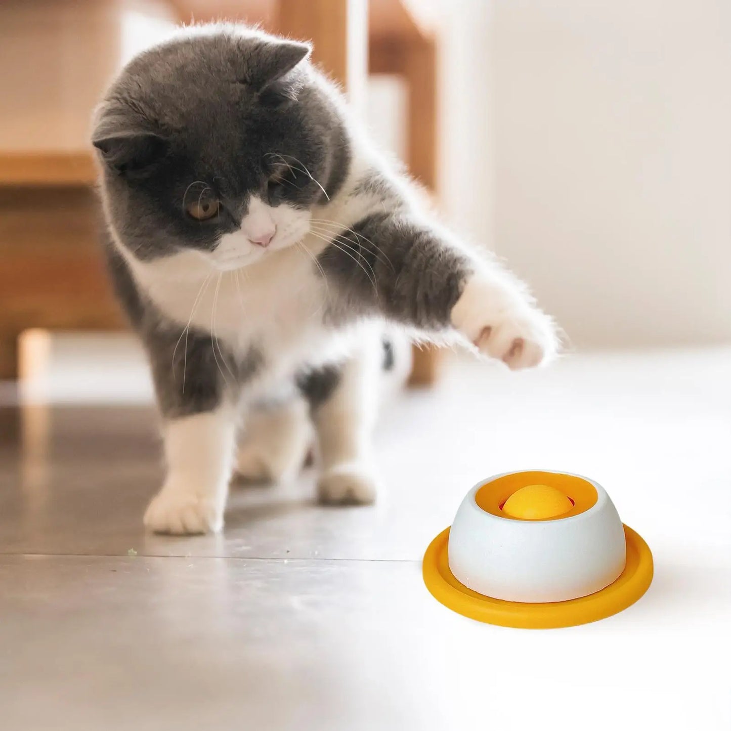 Slow Feeder Lick Mat & Puzzle Toy for Dogs & Cats