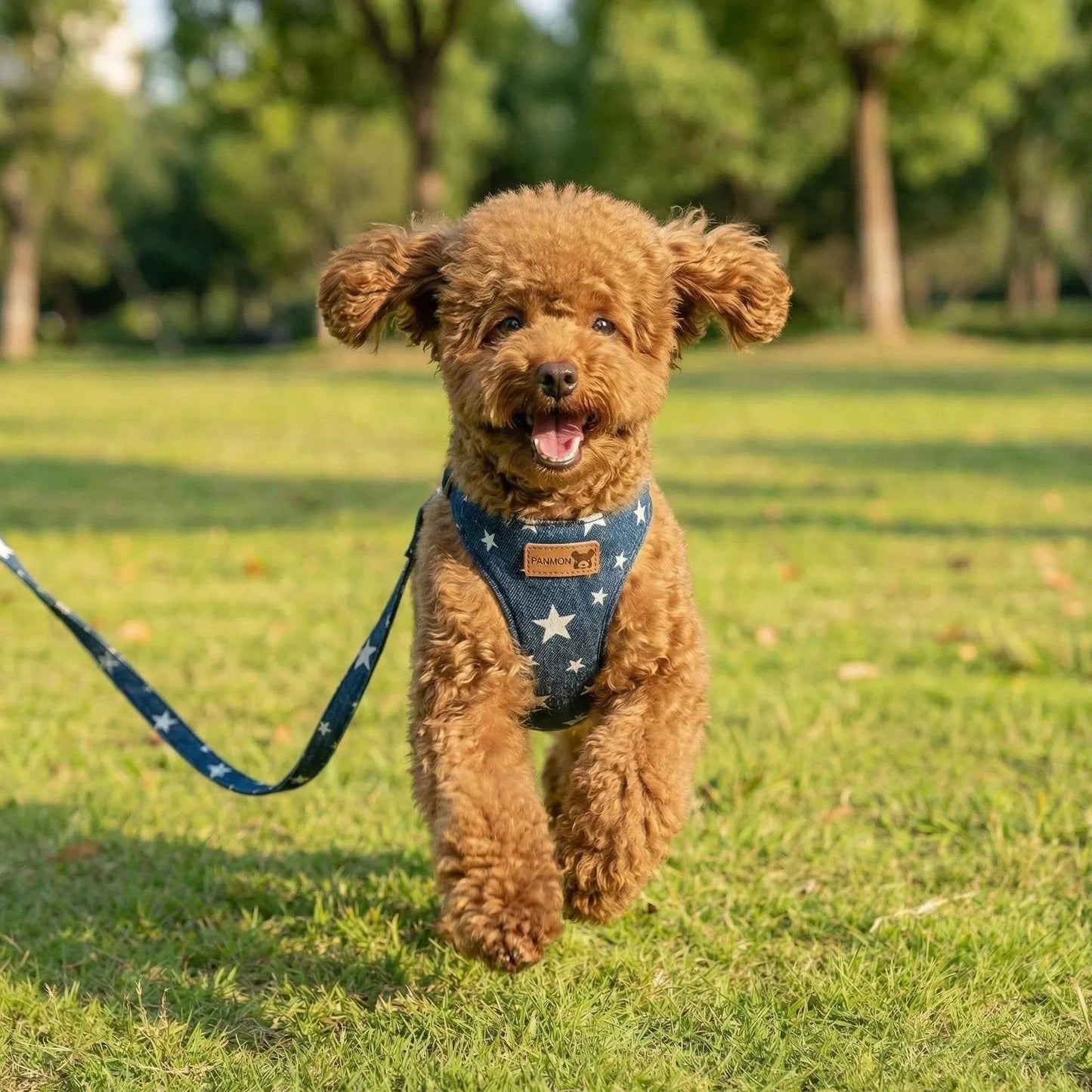 Harnais anti-évasion en jean maillé avec laisse pour chien et chat | Gilet rembourré réglable pour petits chiens et chiots