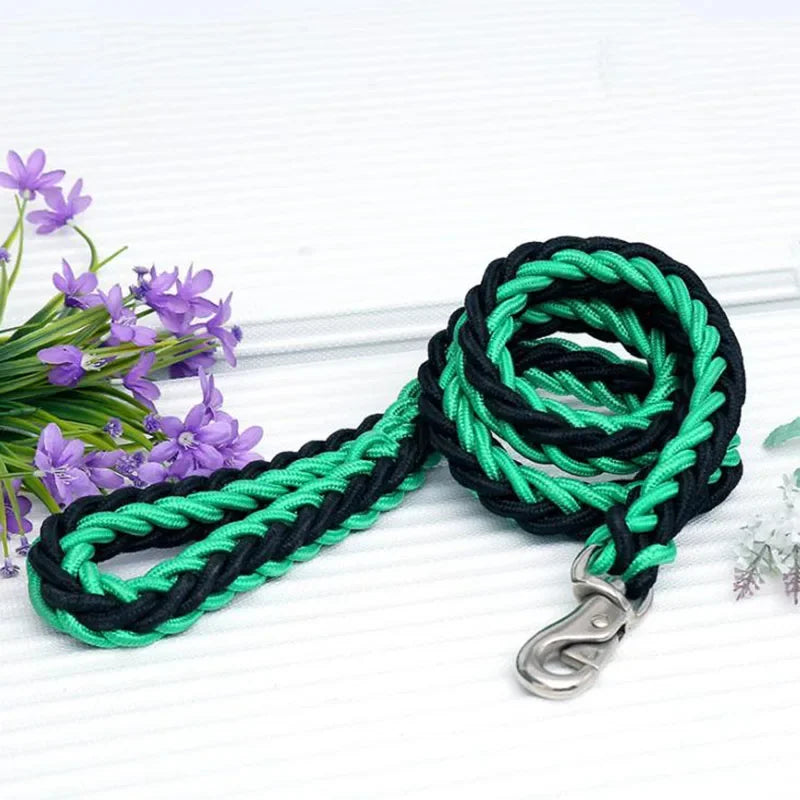 Heavy Duty Nylon Dog Leash & Collar Set - 130cm