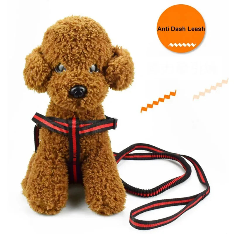 Laisse élastique anti-traction pour animaux (190 cm)