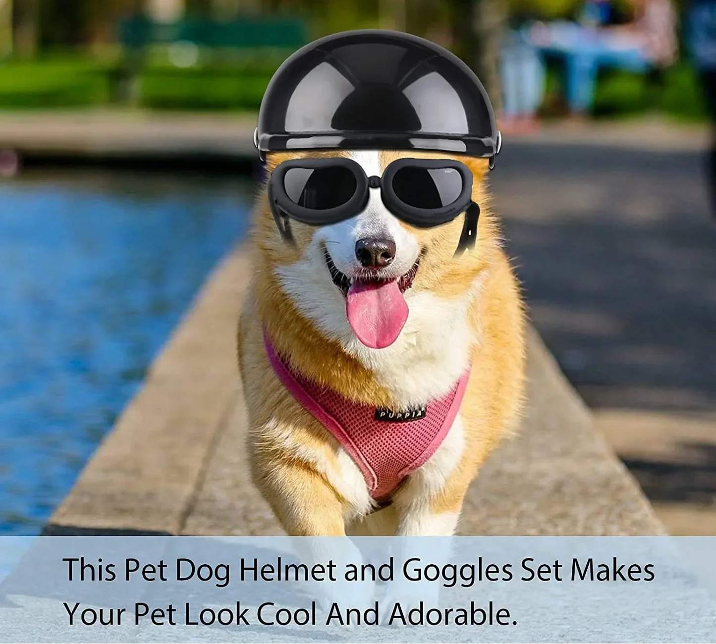 Dog Helmet & Goggles Set - UV Protection Sunglasses for Small Dogs