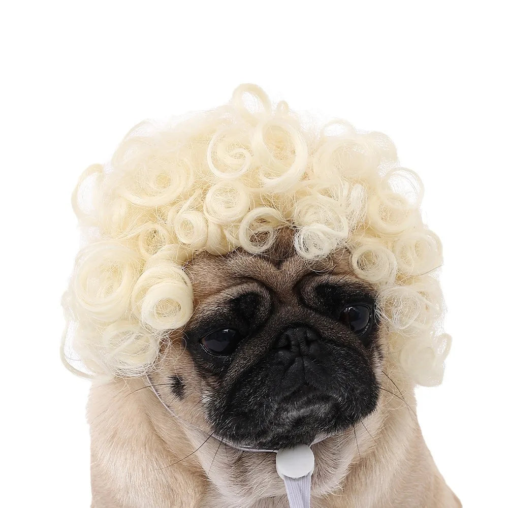 Pet Halloween Wig - Curly & Straight Hair Costume Accessory for Dogs & Cats
