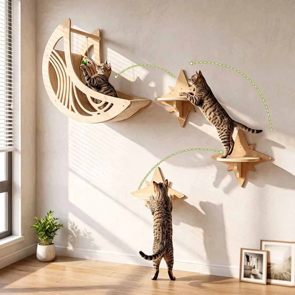 Wall-Mounted Cat Climbing Shelves & Perches