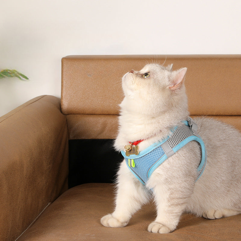 Small Dog Harness and Leash Set