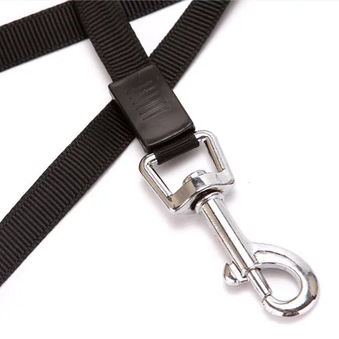 Laisse Rétractable pour Chien - Laisse Extensible Automatique pour Chiens de Petite à Moyenne Taille