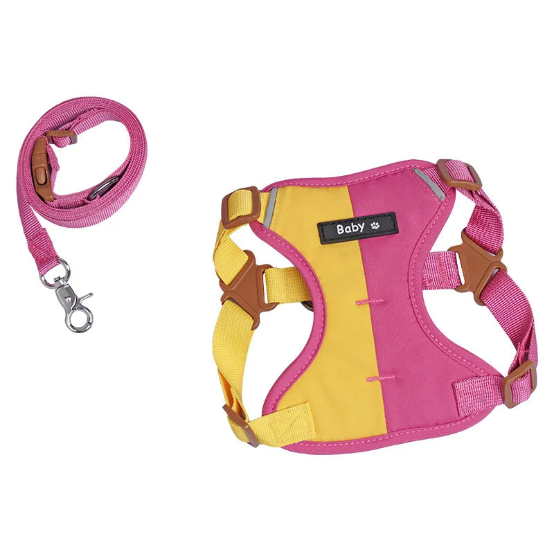 Ensemble Harnais et Laisse Réfléchissants Ajustables pour Chiens et Chats de Petite et Moyenne Taille