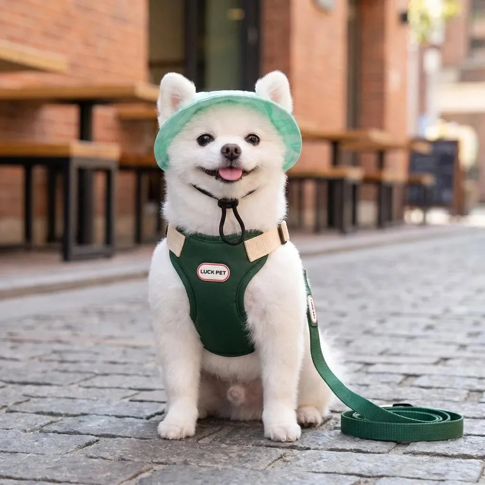 Anti-Escape Harness, Leash & Sun Hat Set for Small Dogs & Cats
