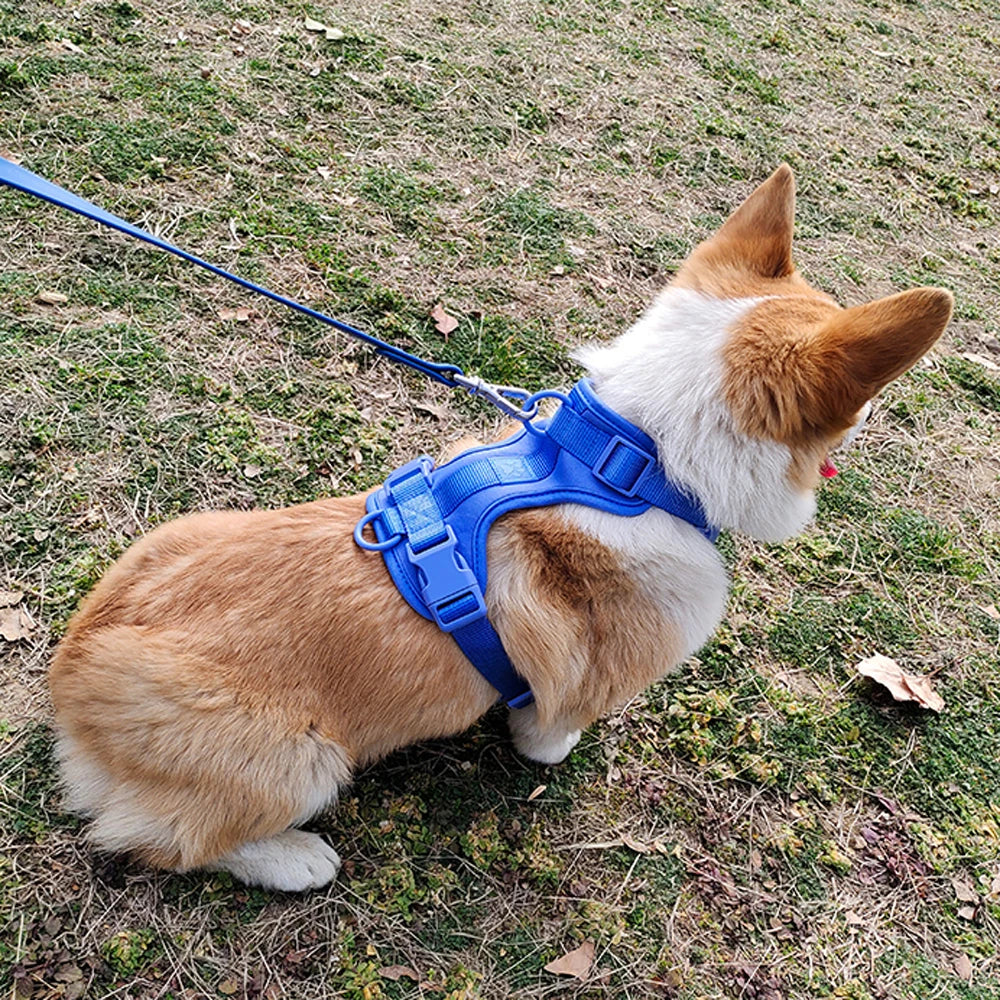 Breathable Adjustable Dog Harness Vest