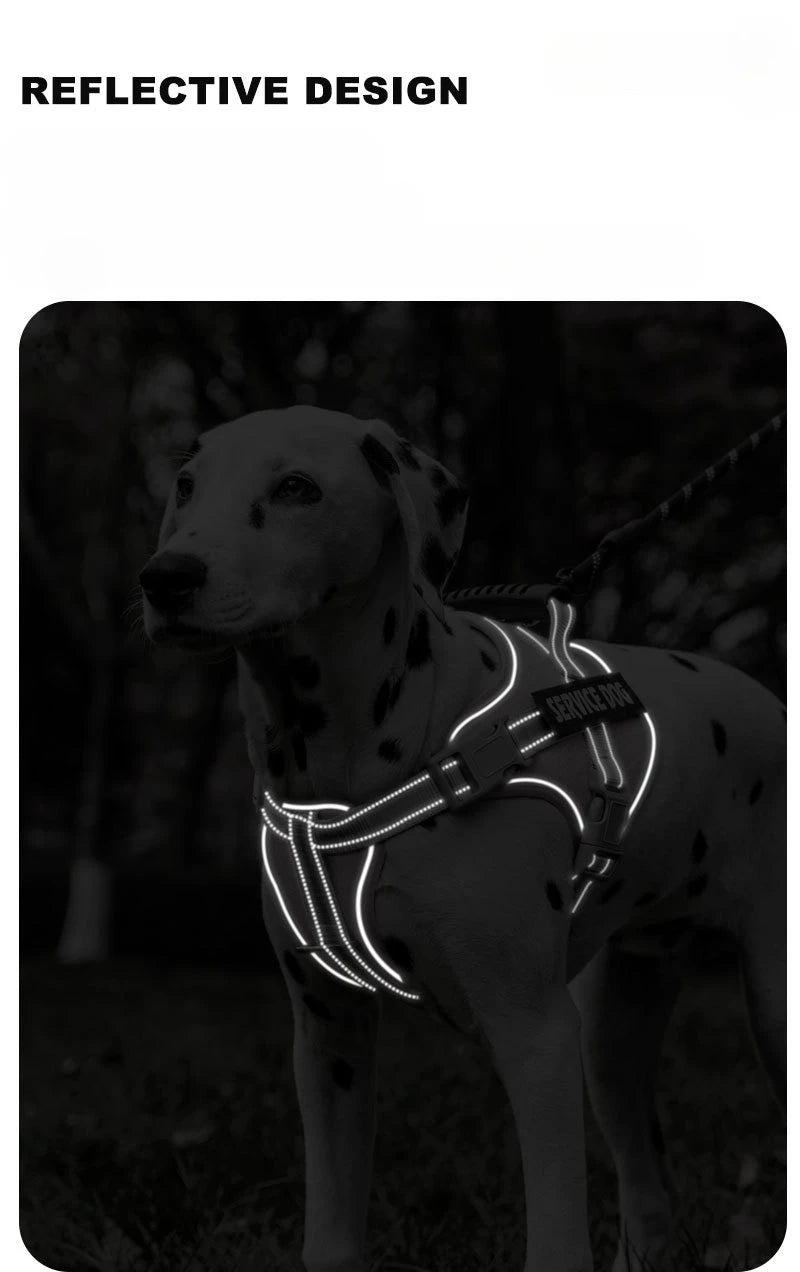 No Pull Dog Harness with Front Clip and Handle