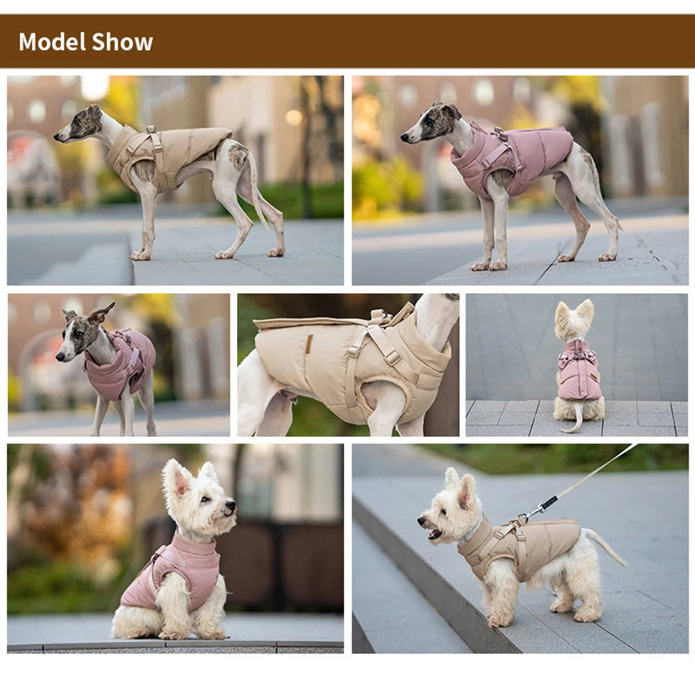 Autumn Winter Pet Clothes Outdoor Dog Jacket with Harness for Small Medium Dogs Thick Warm Pet Cotton-Padded Clothing
