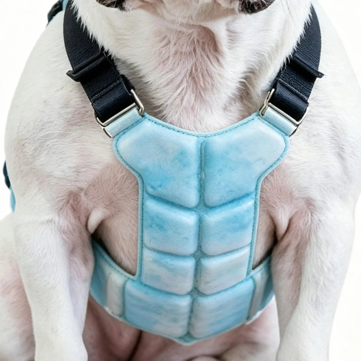 Lightweight Dog Cooling Harness Vest for Walking, Camping & Training