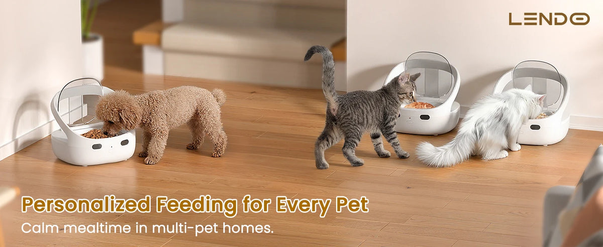 RFID Selective Cat Feeder with Ice Pack Cooling