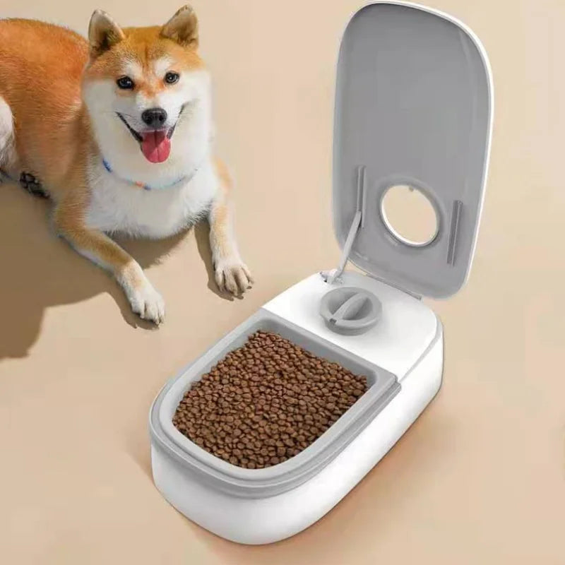 Single-Meal Automatic Pet Feeder with Timer & Cooling Pack
