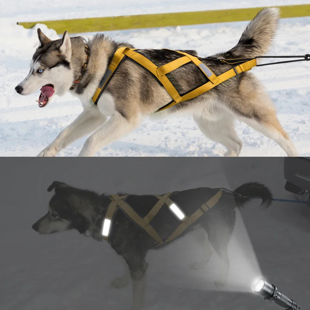Reflective Padded Dog Sledding Harness for Medium & Large Dogs
