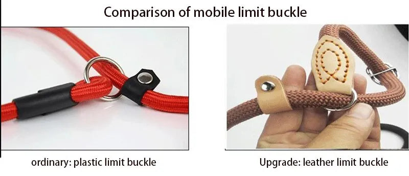 Laisse-collier chien - Corde tressée robuste avec boucle réglable pour grands chiens