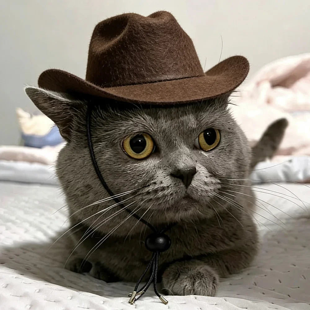 Western Cowboy Pet Hat for Cats & Small Dogs