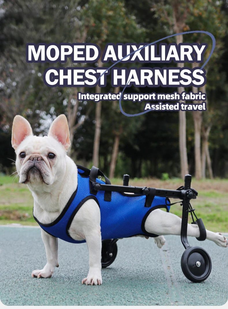 Dog Rehabilitation & Mobility Support Harness – Chest & Back Lifting Aid for Disabled & Recovering Dogs