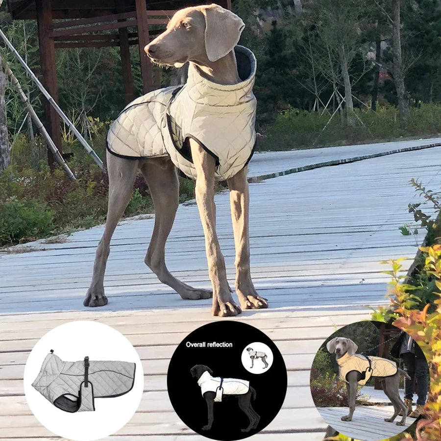 Reflective Winter Dog Jacket & Outdoor Vest