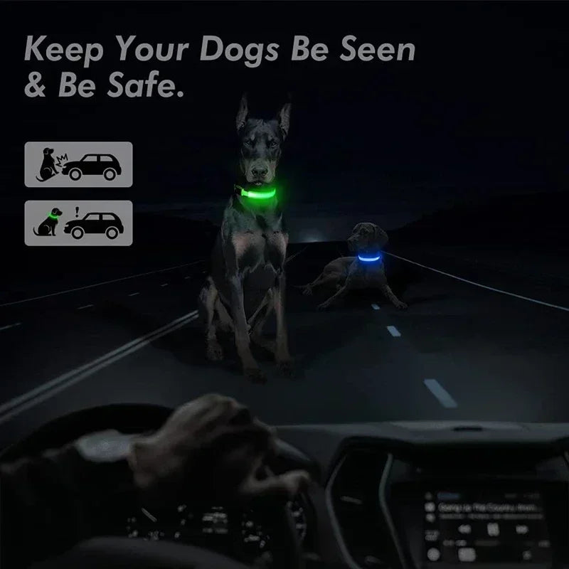Collier lumineux LED pour chien - Réglable, clignotant, rechargeable - Collier lumineux pour la sécurité nocturne - Harnais lumineux anti-perte pour chien