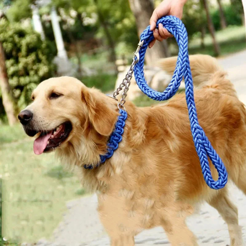 Laisse pour chien en nylon robuste (130 cm)