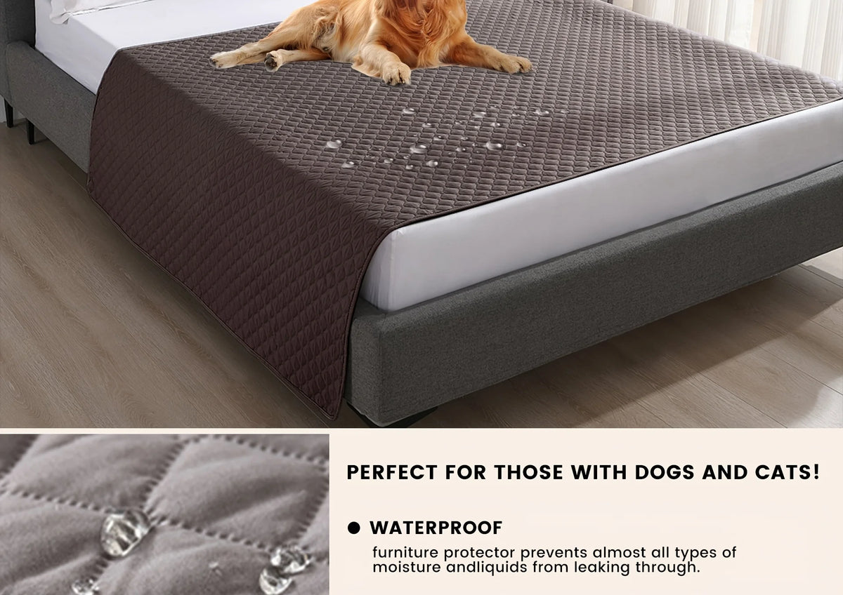 Pet Furniture & Bed Cover