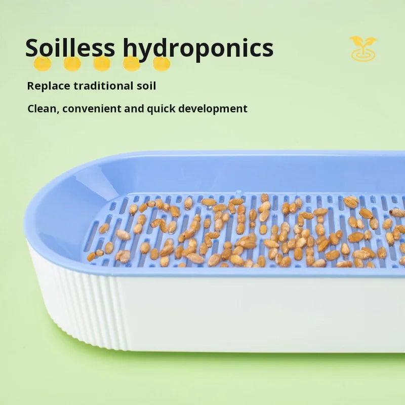 Kit de culture d'herbe à chat hydroponique – Ensemble de plantation sans terre pour friandises fraîches pour chats