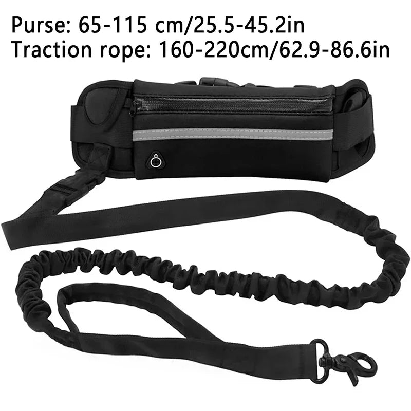 Laisse pour chien mains libres avec sac banane - Ceinture de course réfléchissante
