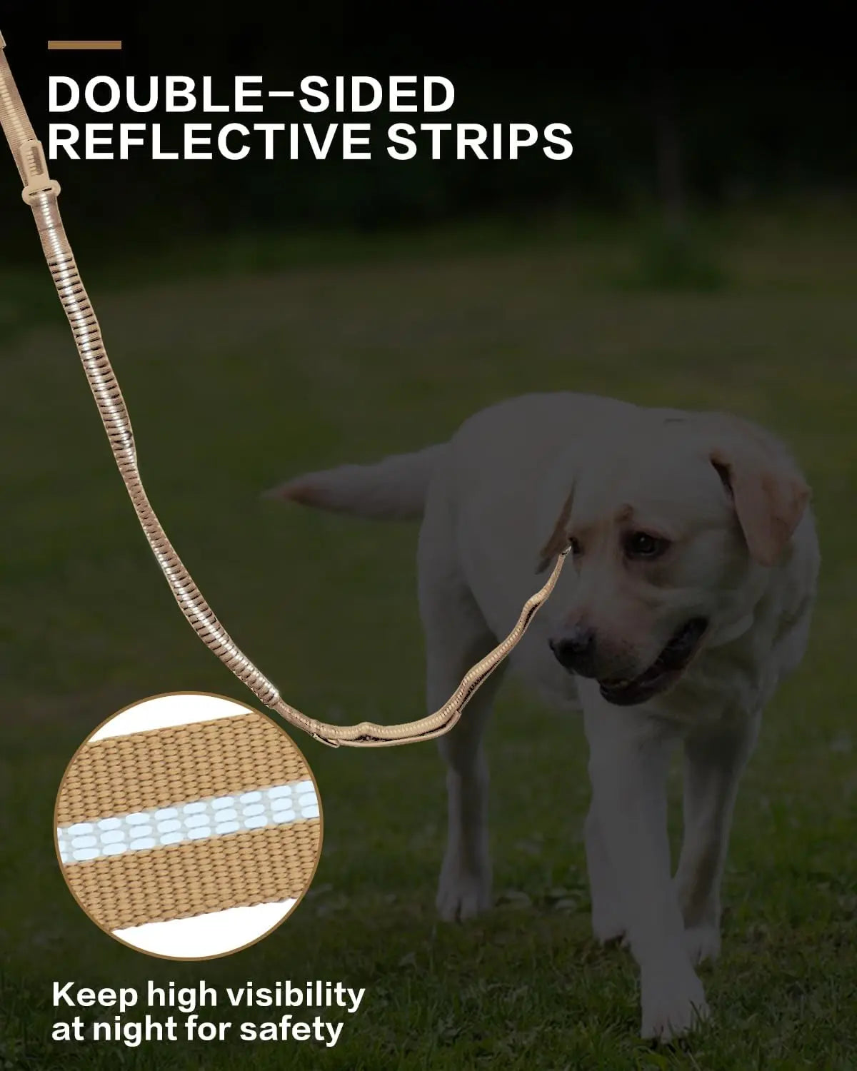 Reflective Shock Absorbing Dog Leash