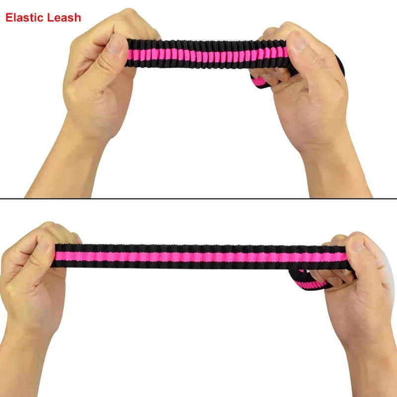 Laisse élastique anti-traction pour animaux (190 cm)