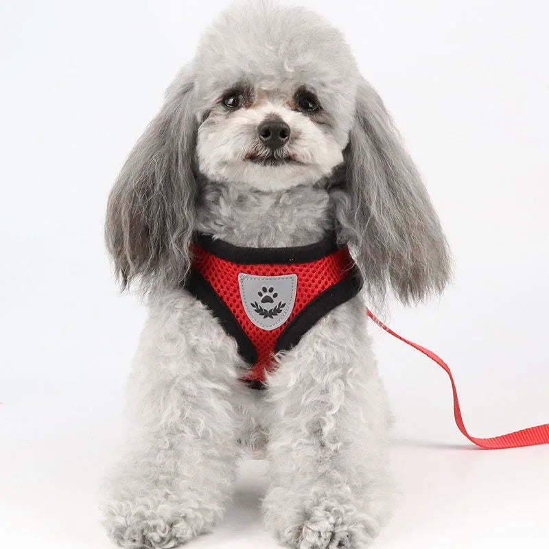 Harnais anti-évasion pour chat et chien avec laisse - Gilet en maille réglable pour la promenade