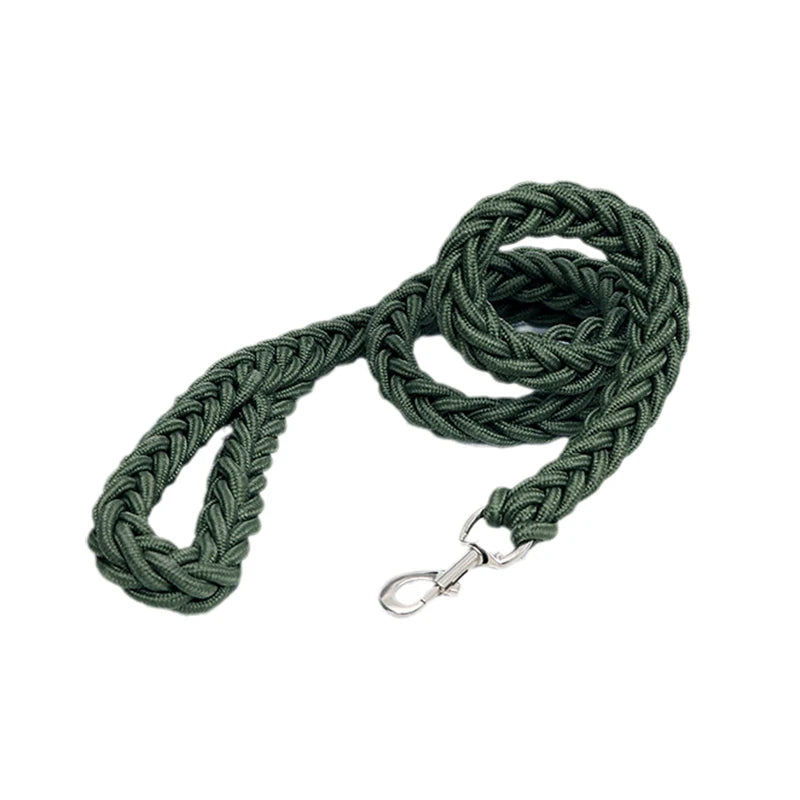Heavy-Duty Nylon Dog Lead